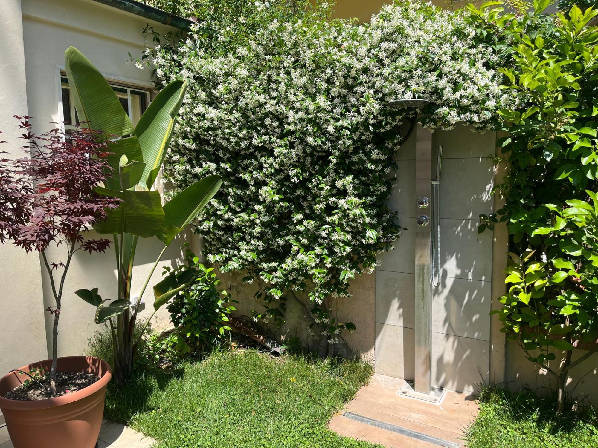 Apartamento Monolocale Pura Vida Viareggio Exterior foto